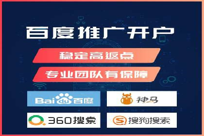 百度广告投放策略与效果评估案例